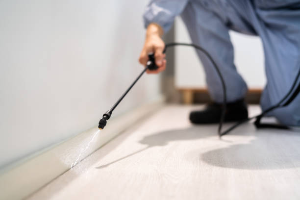 Licensed Termite Control service in Crane County County, TX - Nex Pest Control