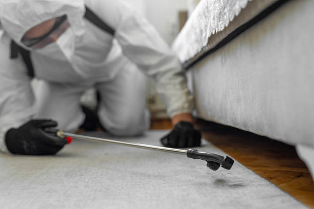 Professional Termite Control technician working in Crane County County, TX